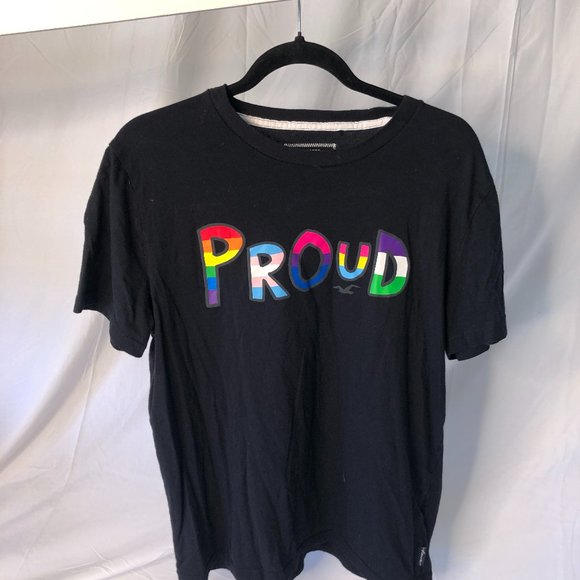 Hollister Pride Collection T-Shirt - Picture 1 of 3